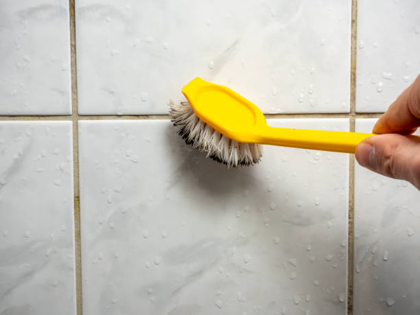 Best Certified Mold Removal  in , AL