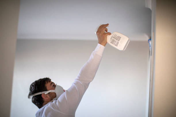 Best Black Mold Removal  in , AL
