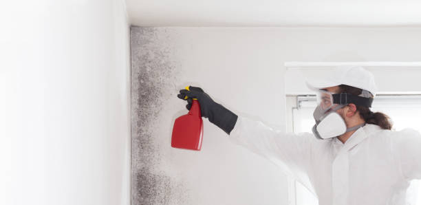Best Toxic Mold Removal  in , AL